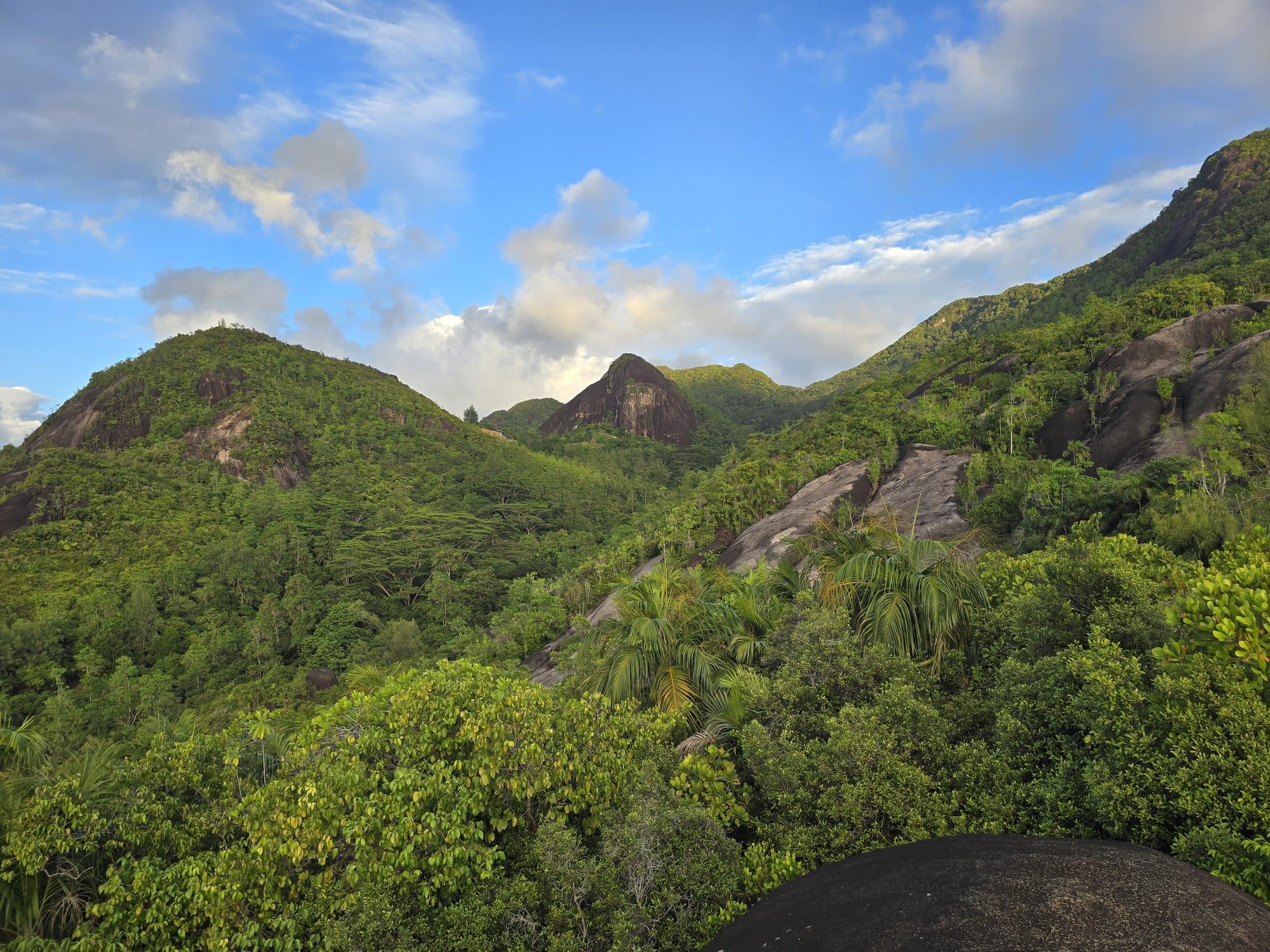 Forested ridges and granite slabs on the Anse Major trail, Mahé, Seychelles