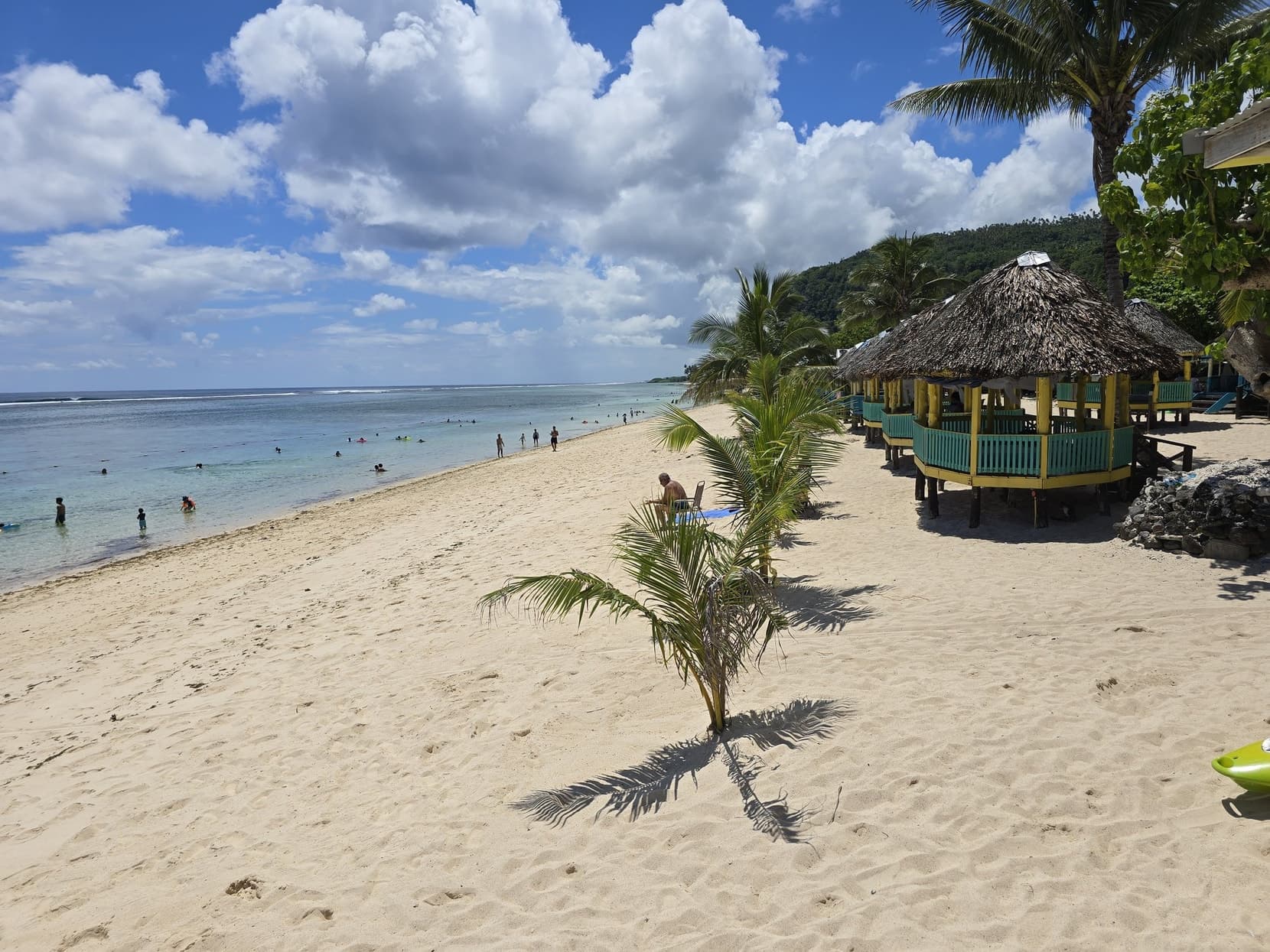 White sand, a young palm and open beach fales on a Samoan beach, swimmers in the turquoise shallows