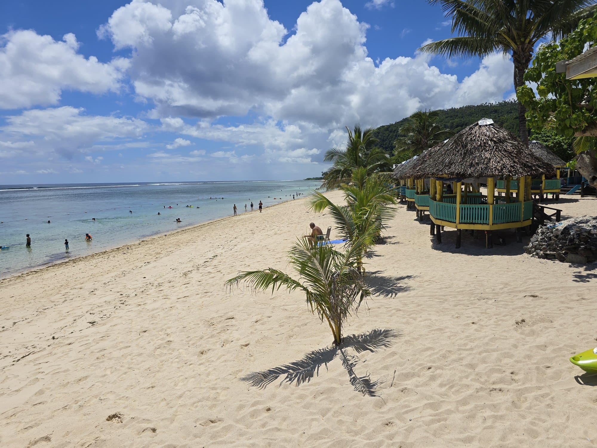 White sand, a young palm and open beach fales on a Samoan beach, swimmers in the turquoise shallows