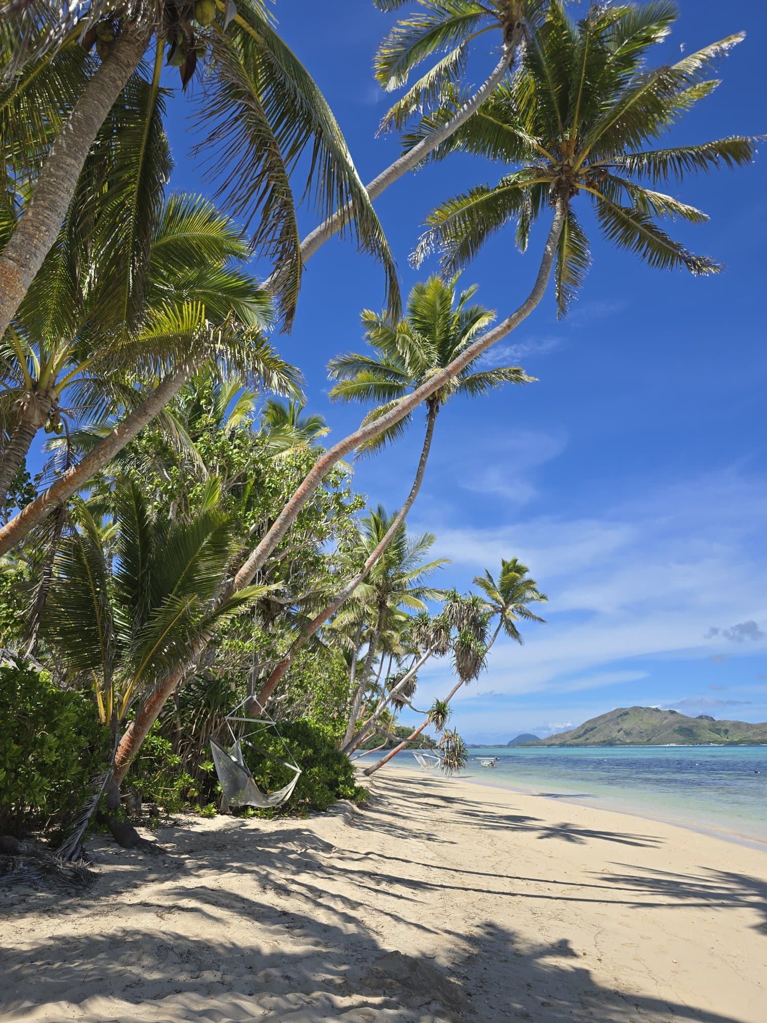 Palms over white sand with an island offshore at the top of the Yasawa chain