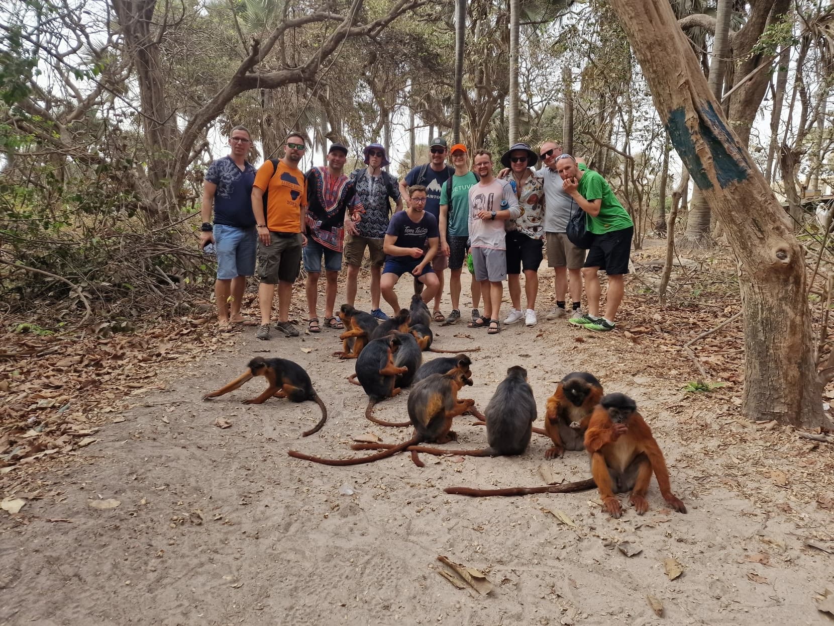 The rally crew standing on the forest path facing a troop of monkeys