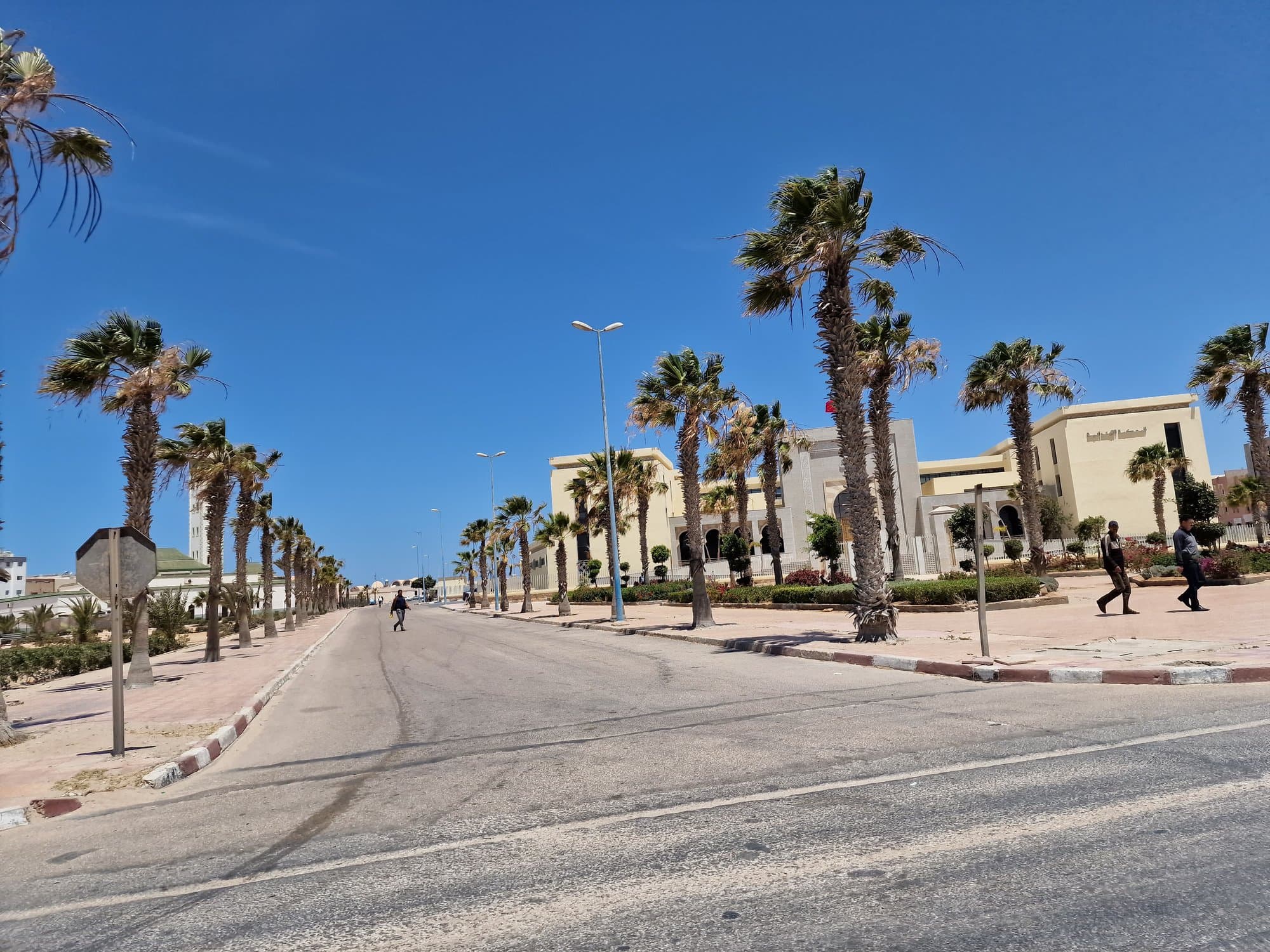 A palm-lined boulevard in Dakhla at midday