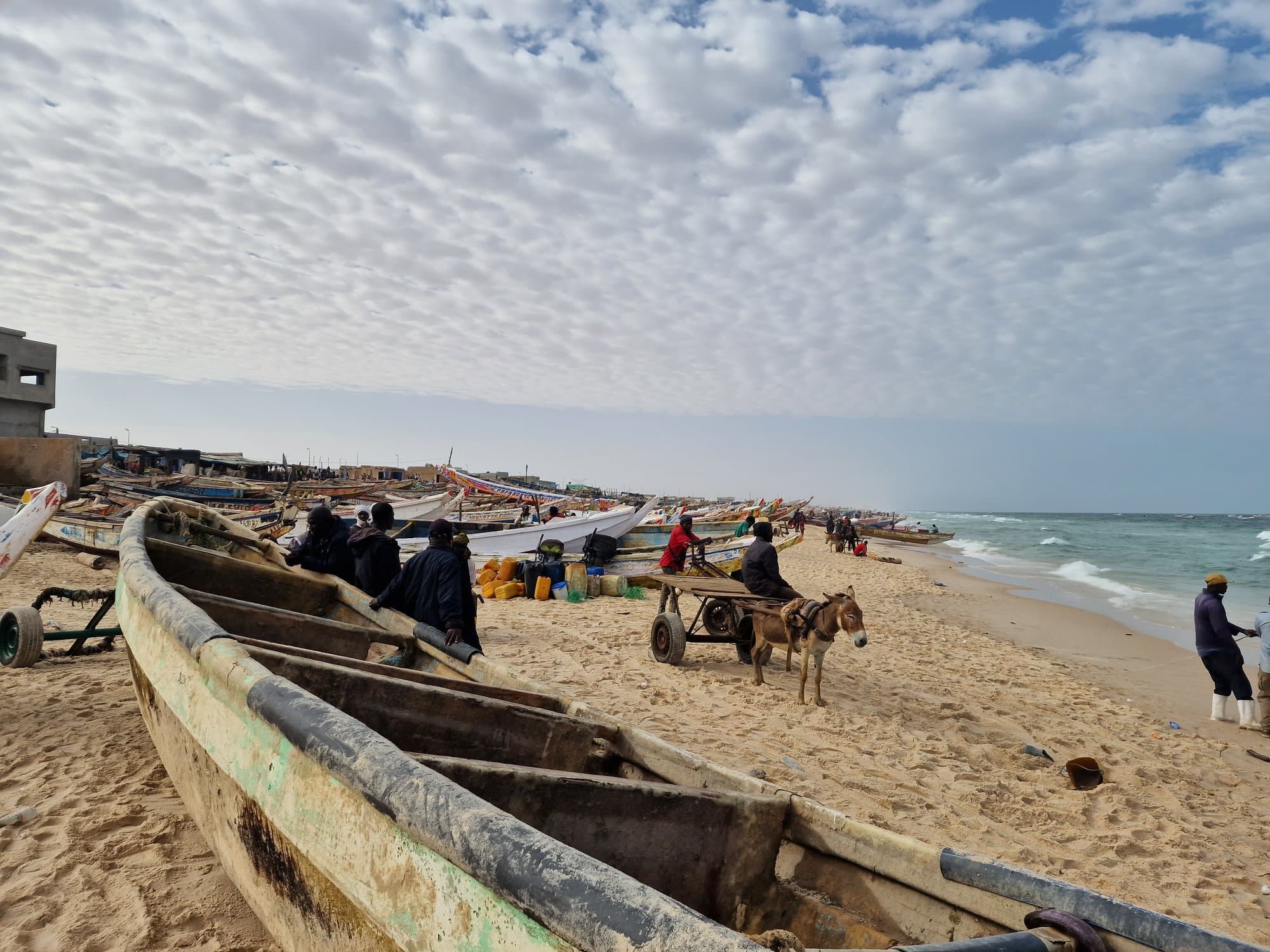 A donkey cart between beached wooden pirogues at Nouakchott's Port de Pêche