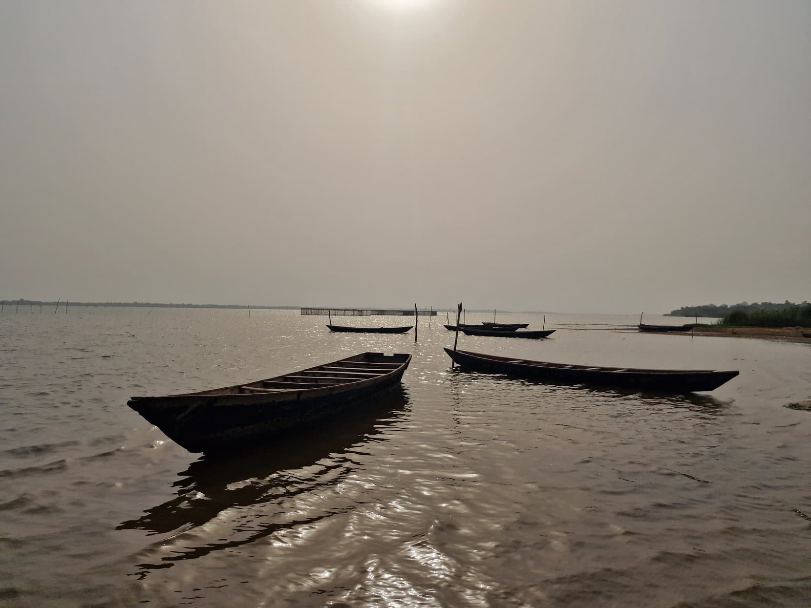 Dugout canoes drawn up in the shallows of Lake Togo at dusk, Togoville, Togo