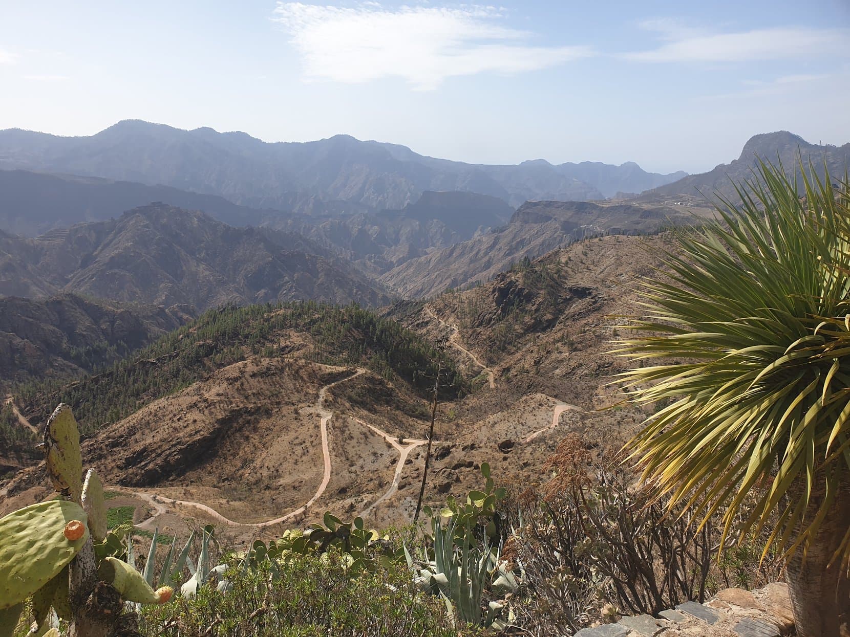 Dirt tracks winding through the bare mountain interior of Gran Canaria, palms in the foreground
