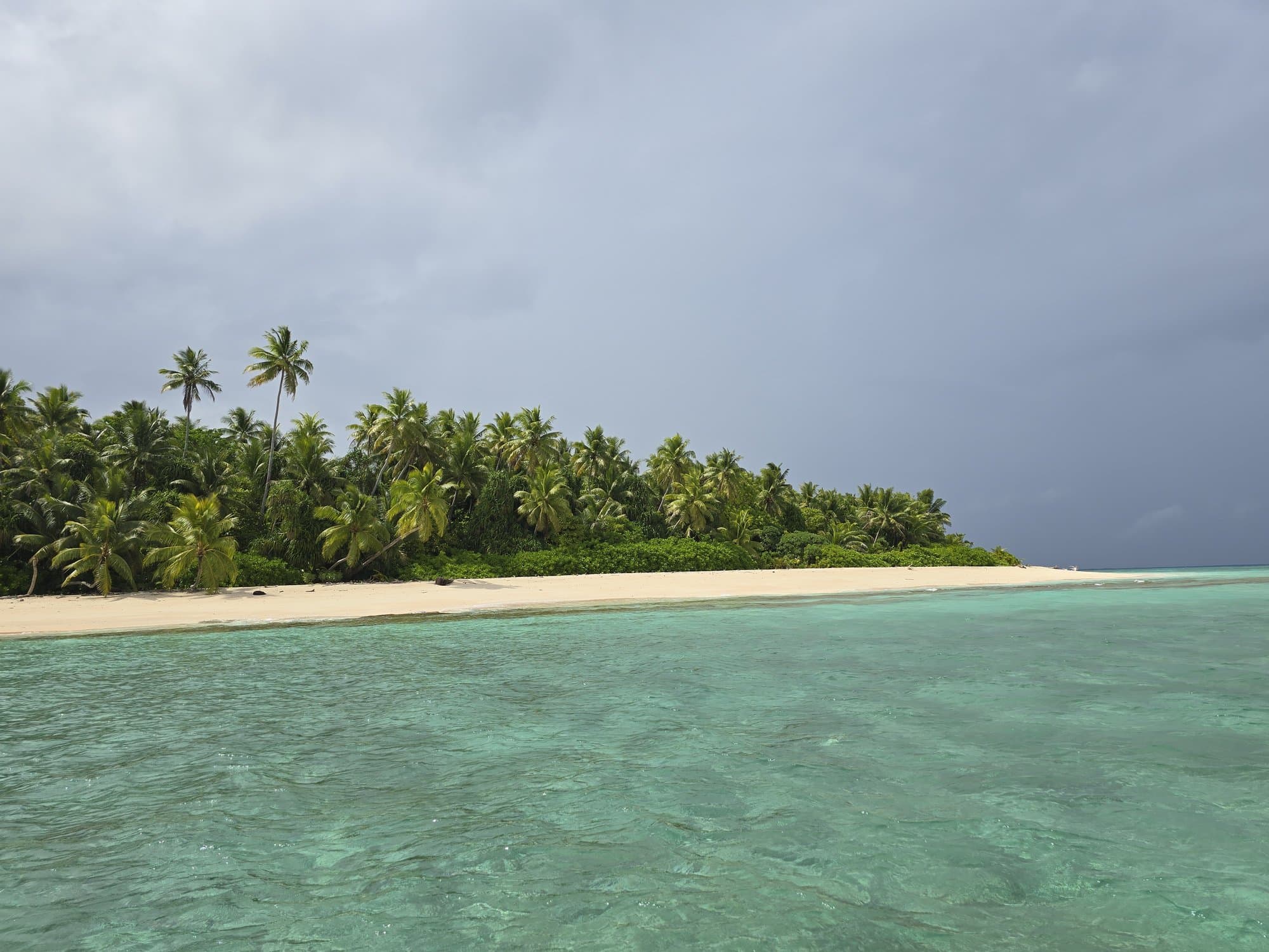 A lagoon islet's white beach and palms seen from the water, nobody on it