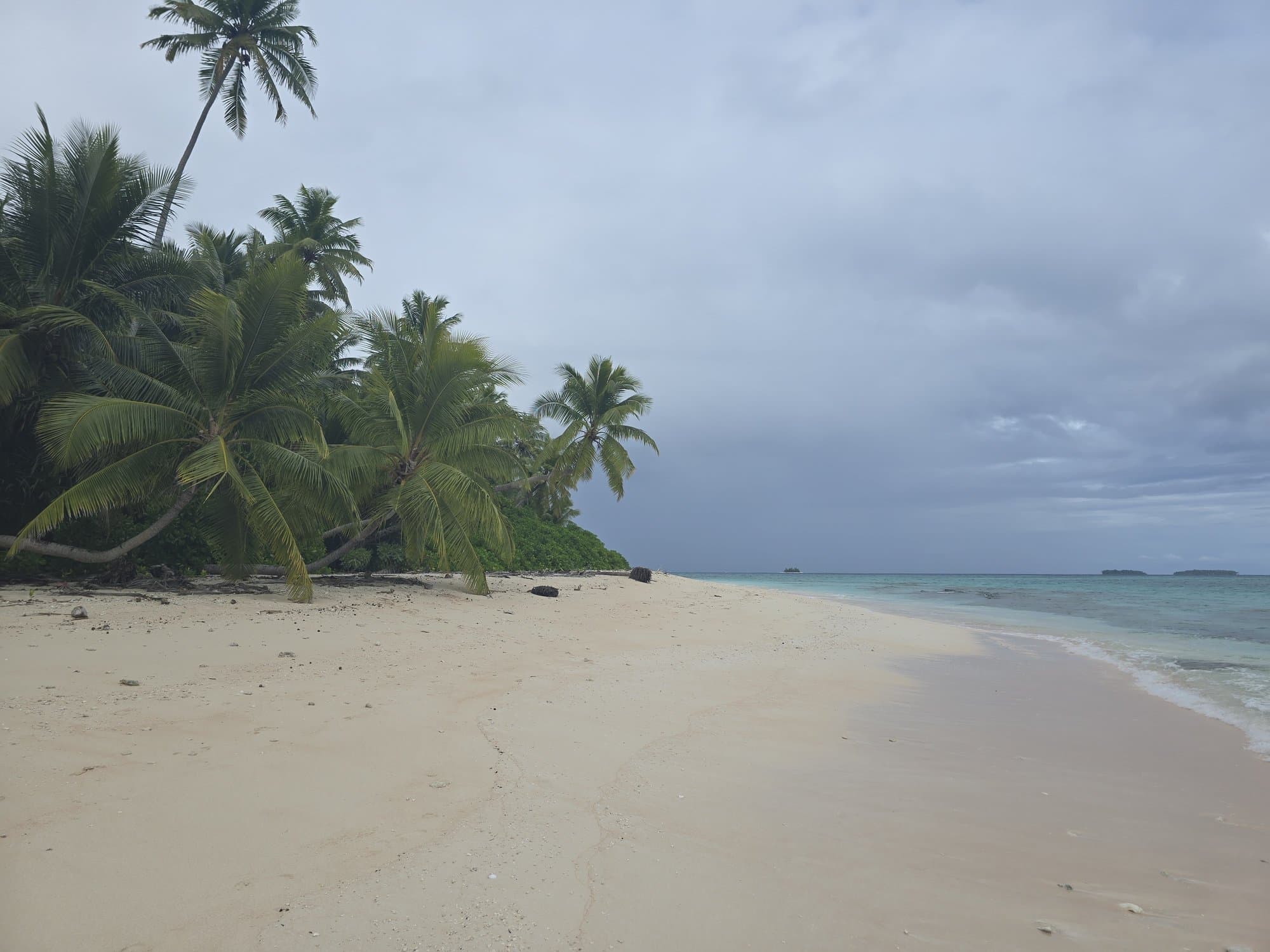 Palms leaning over an empty islet beach