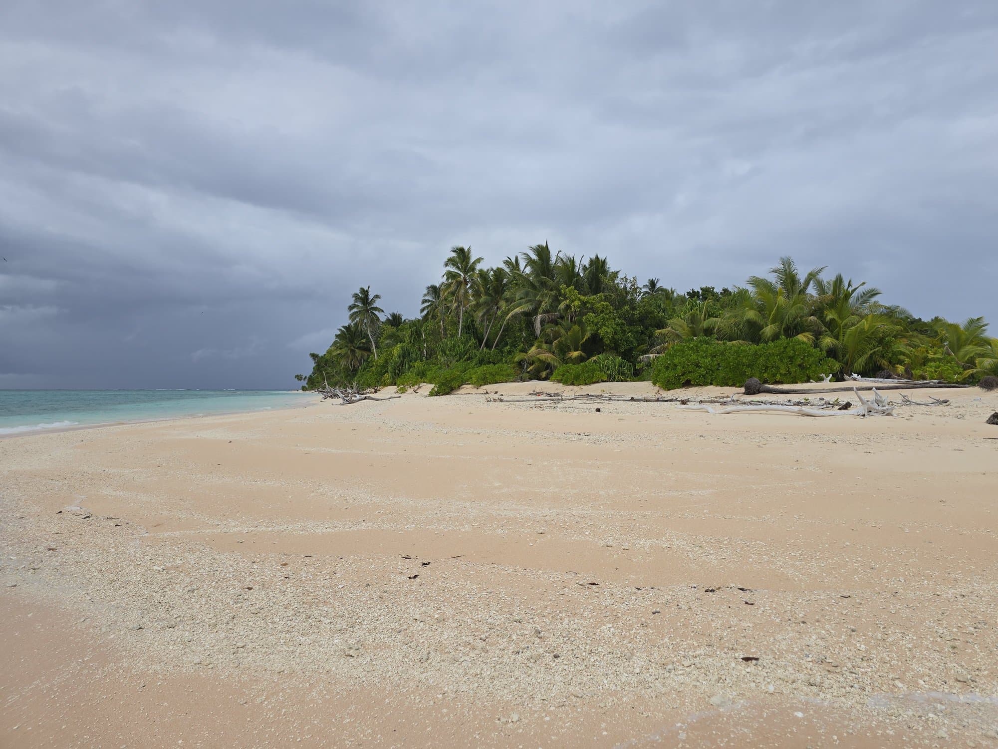 A tree-topped islet and its white sandbar in Funafuti's lagoon