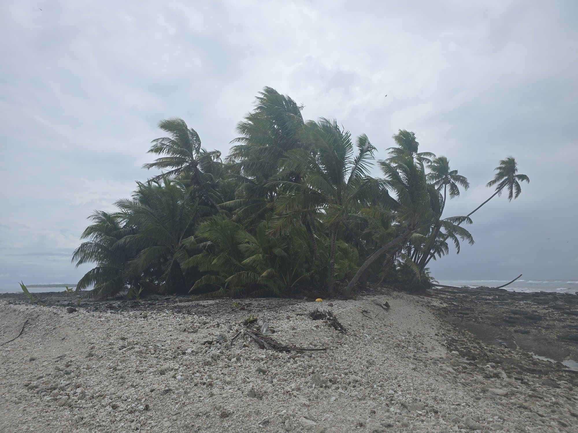 A windblown islet seen from its own beach