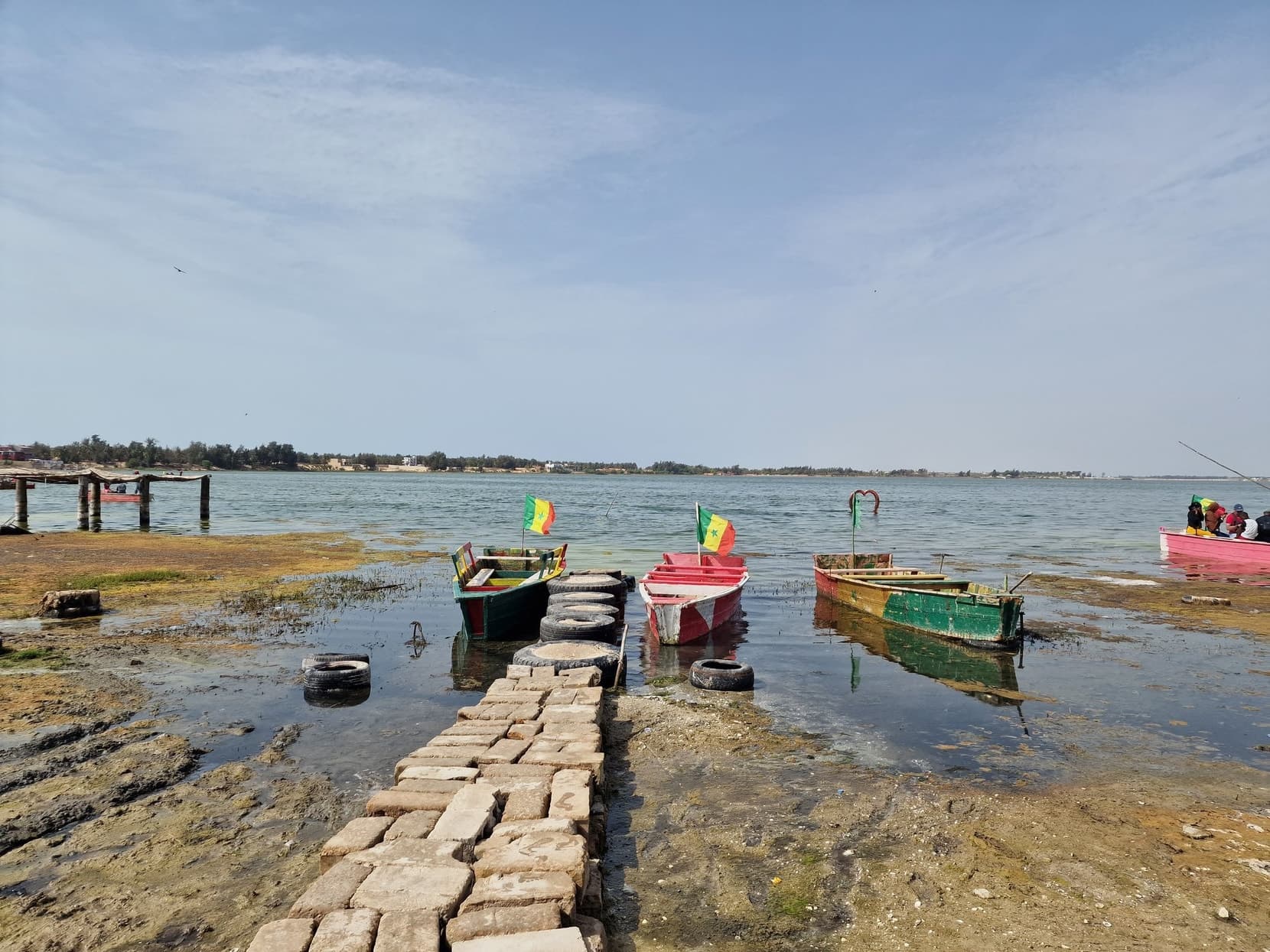 Painted pirogues moored along the shallow shore of Lac Rose near Dakar