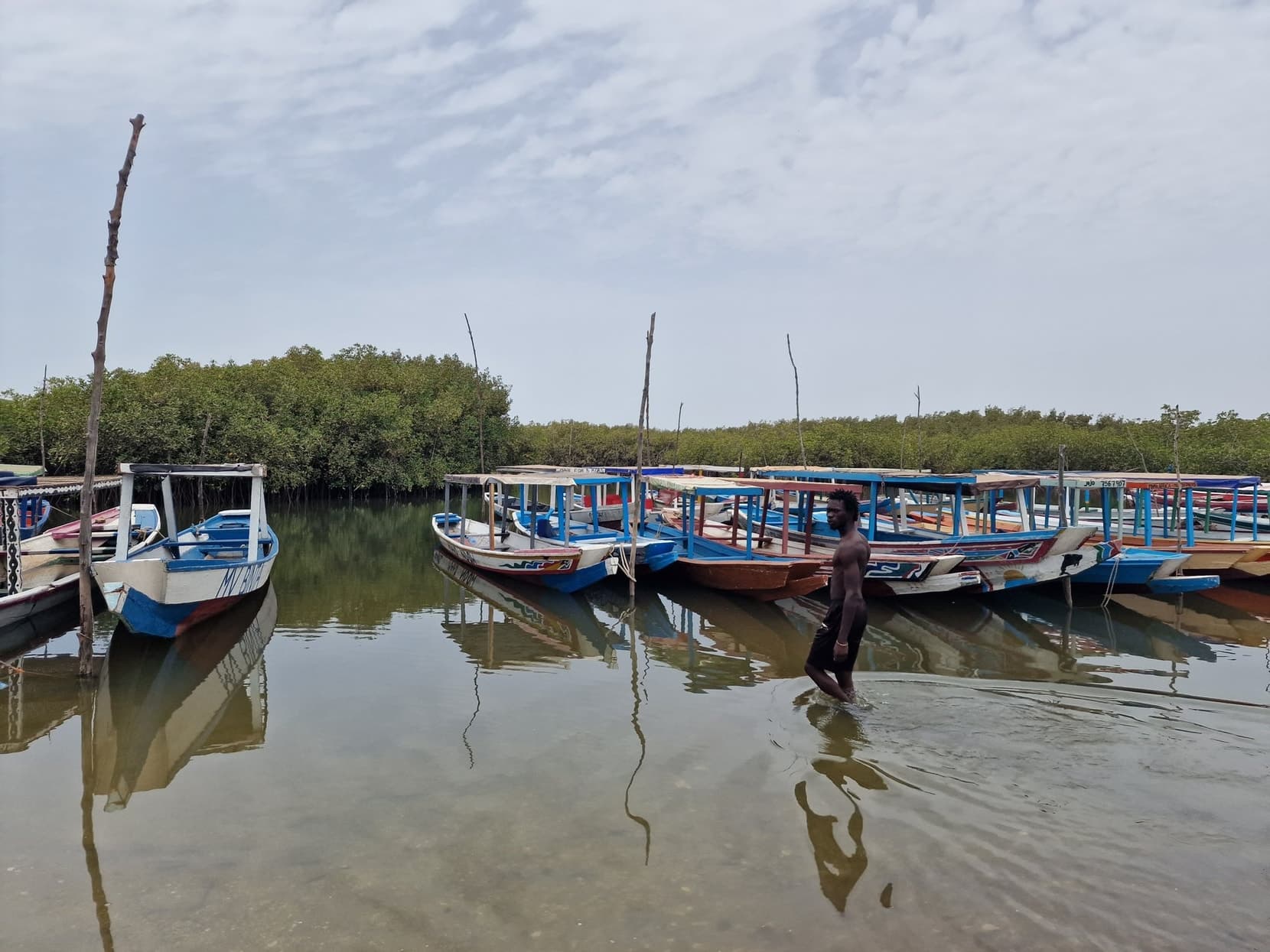 Excursion pirogues moored in rows at the Lamin jetty