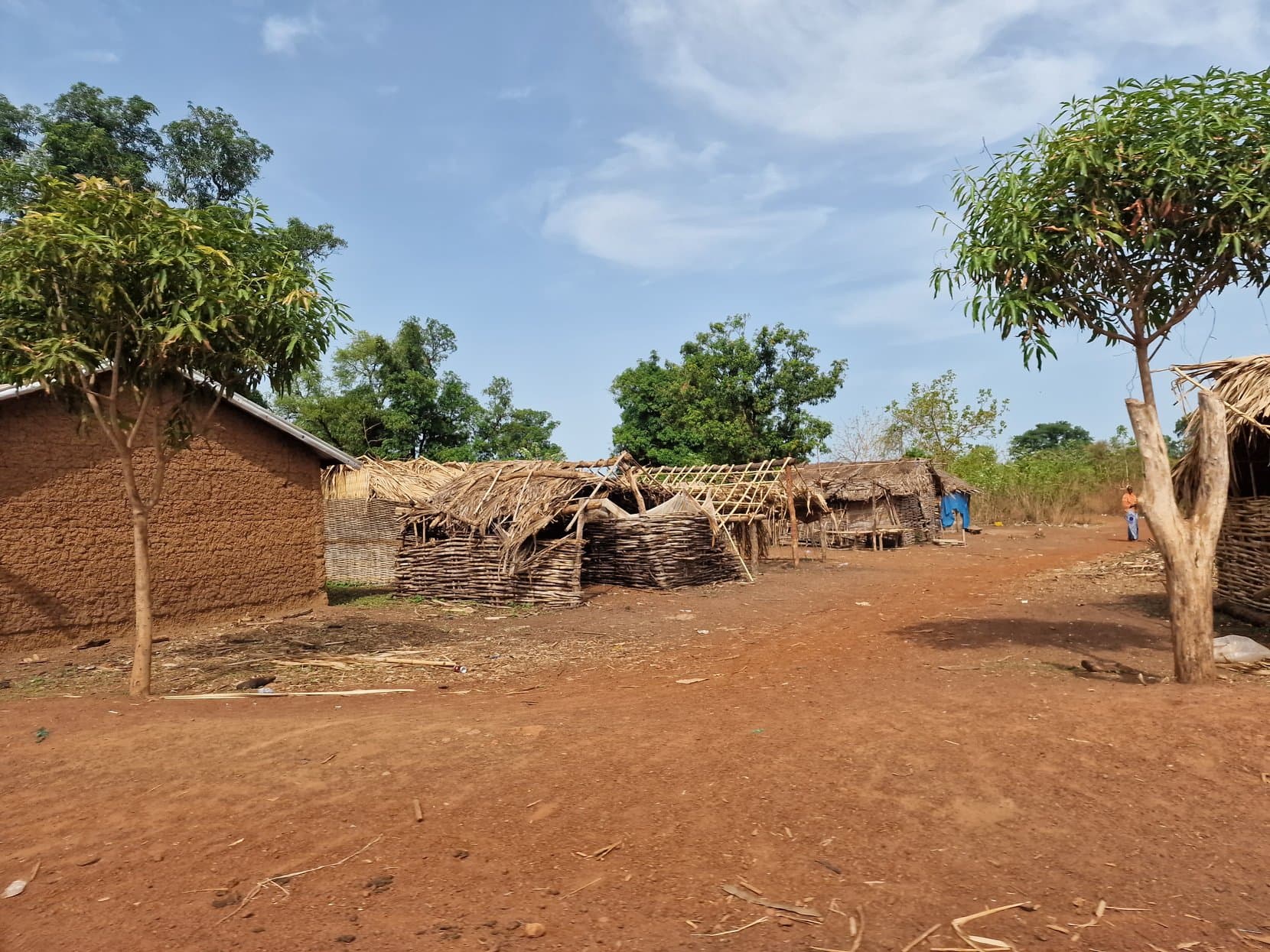 Mud-brick houses with thatched roofs and a mango tree in a village, Guinea