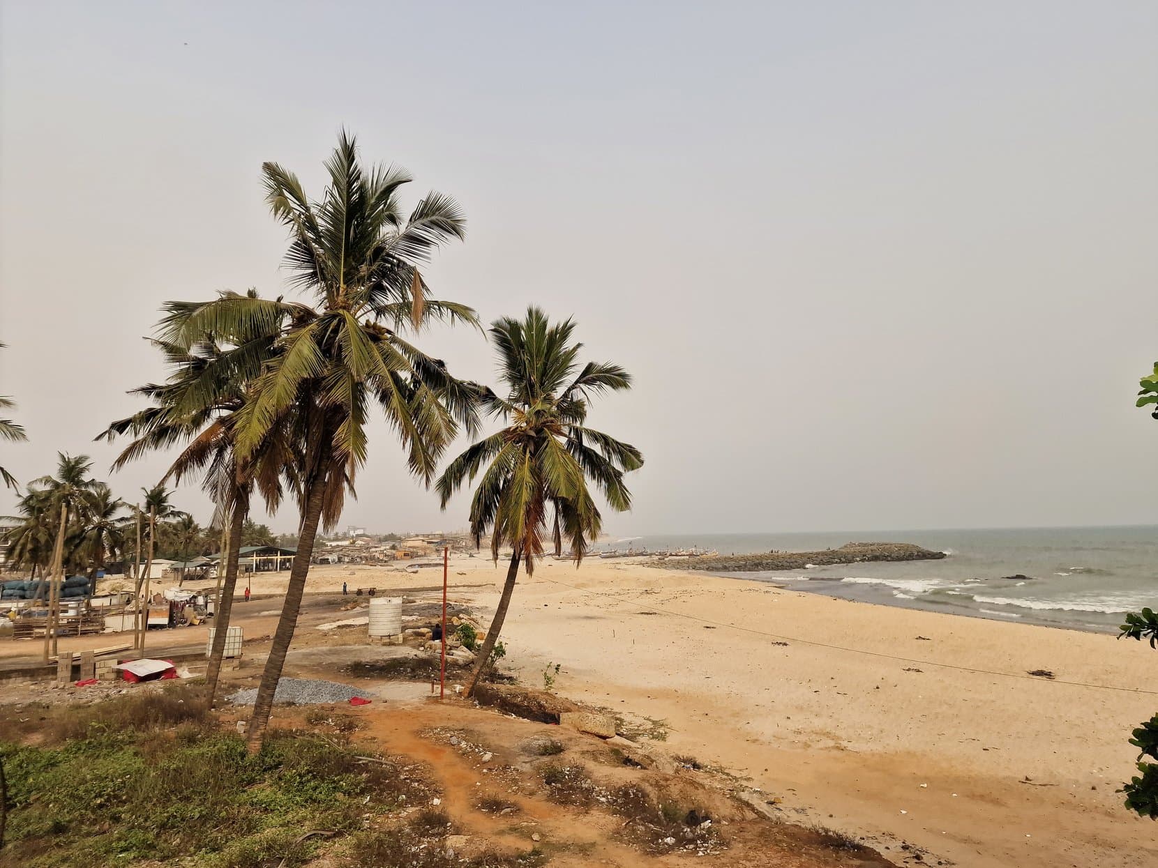 Coconut palms leaning over a sandy beach and the Atlantic, Accra, Ghana
