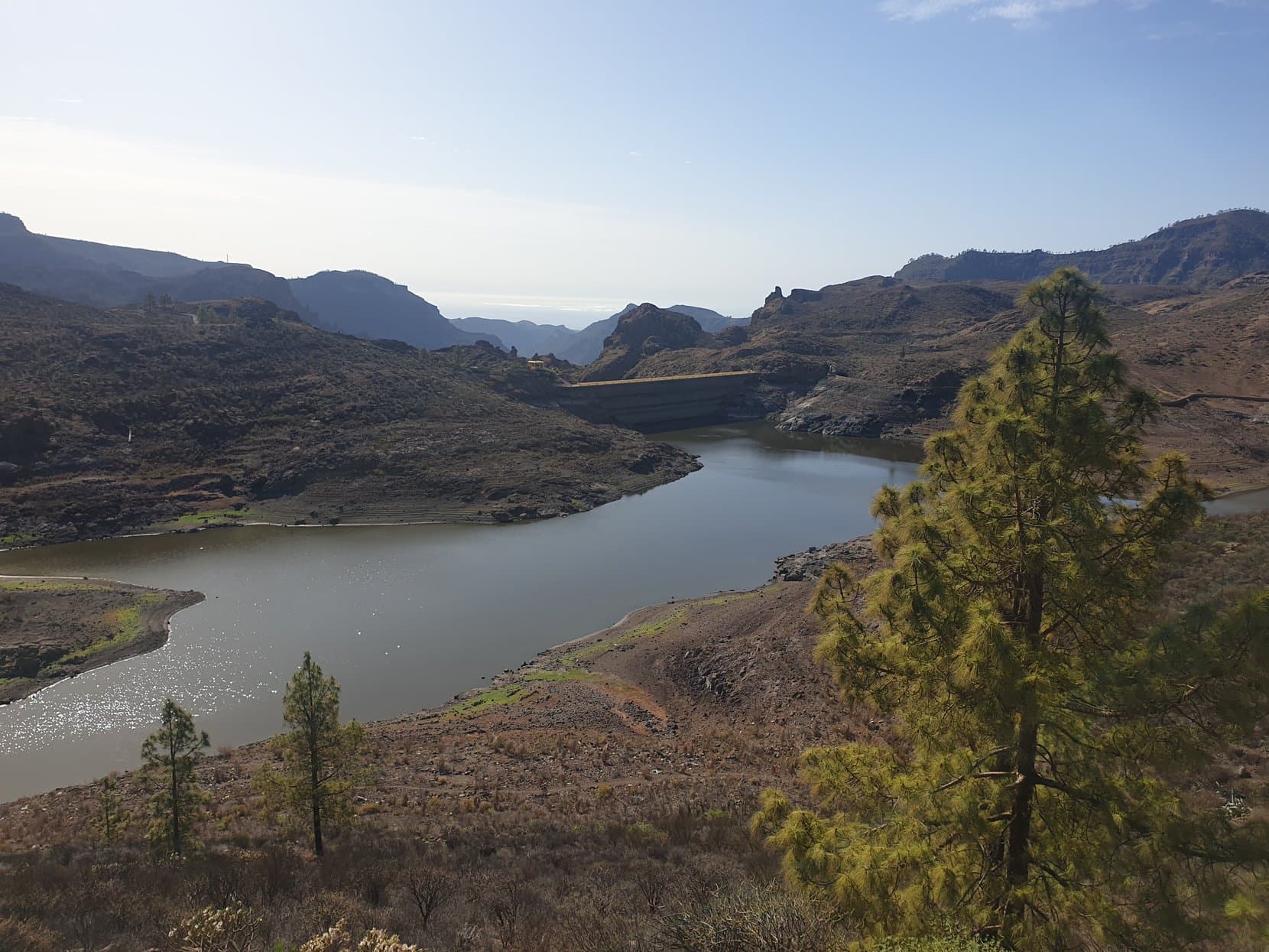 A reservoir ringed by pines below bare ridges in the Gran Canaria mountains