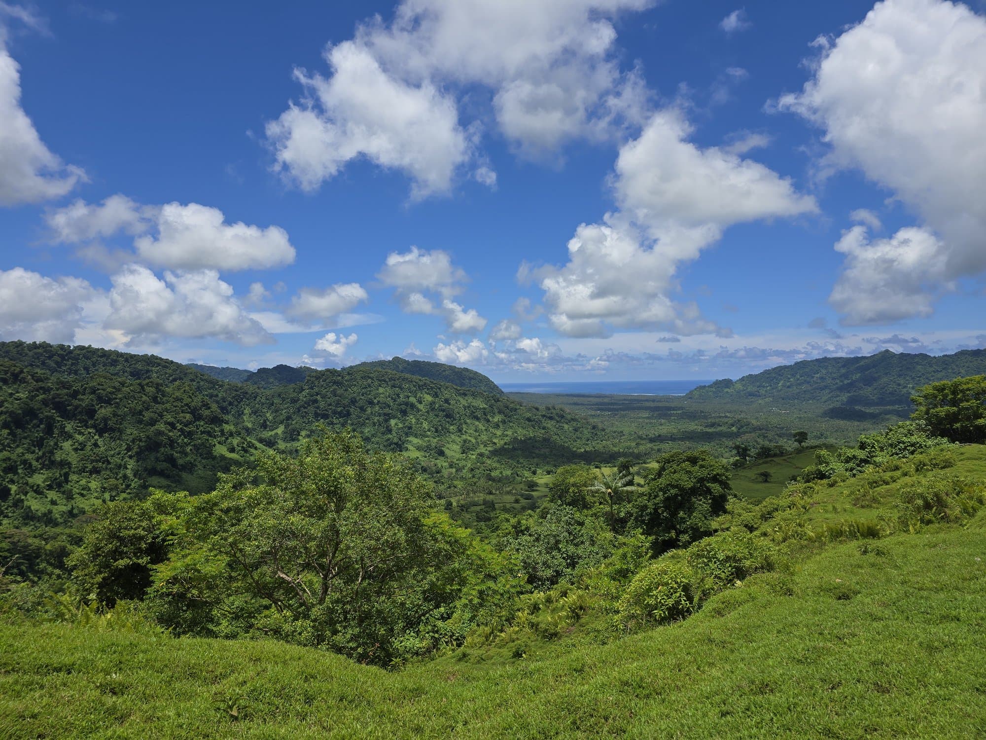 Rainforest ridges in Upolu's interior