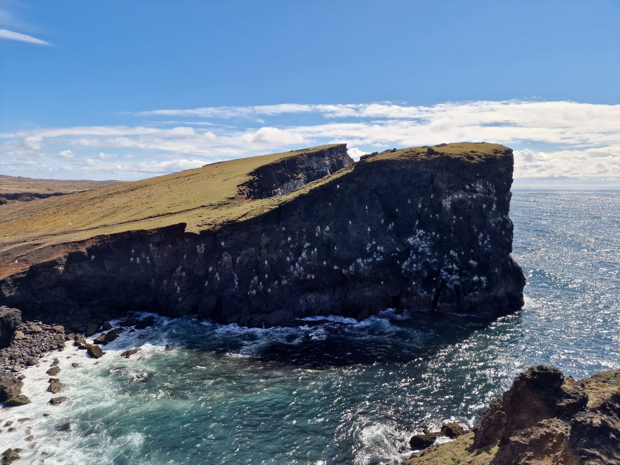 A flat-topped headland dropping sheer into the surf on the Reykjanes peninsula