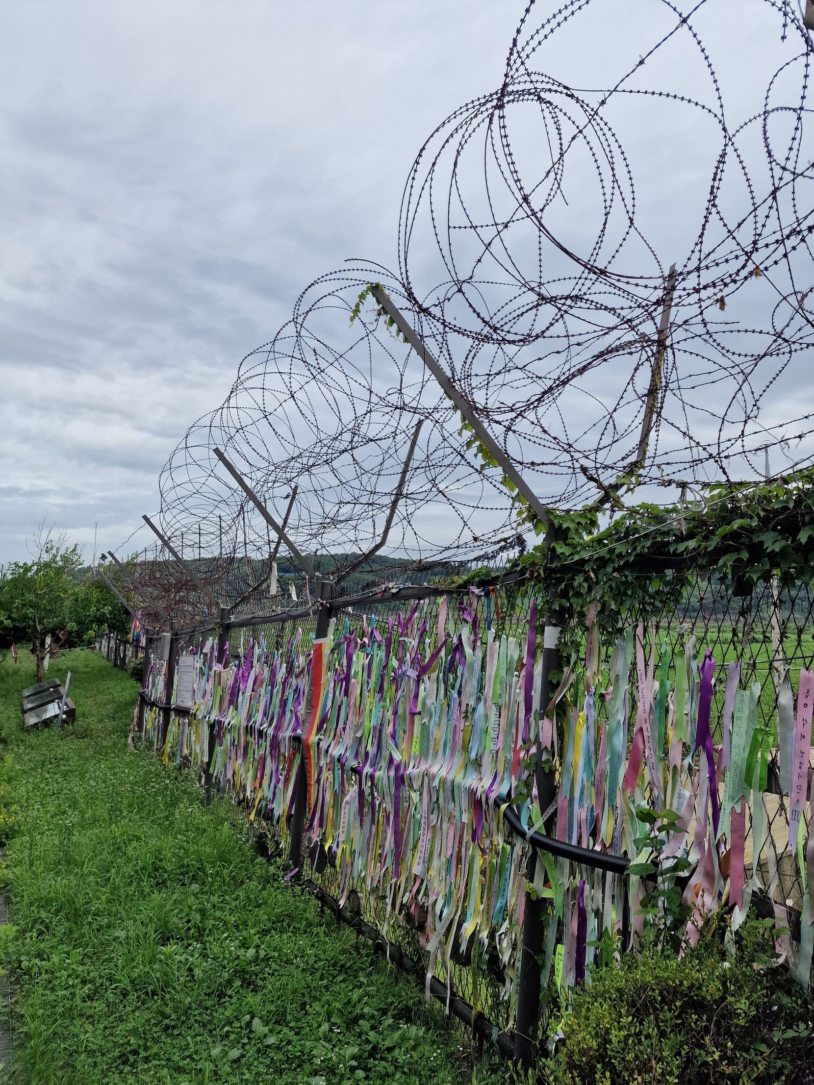 Coloured ribbons with handwritten wishes tied to a barbed-wire fence at Imjingak, near the DMZ