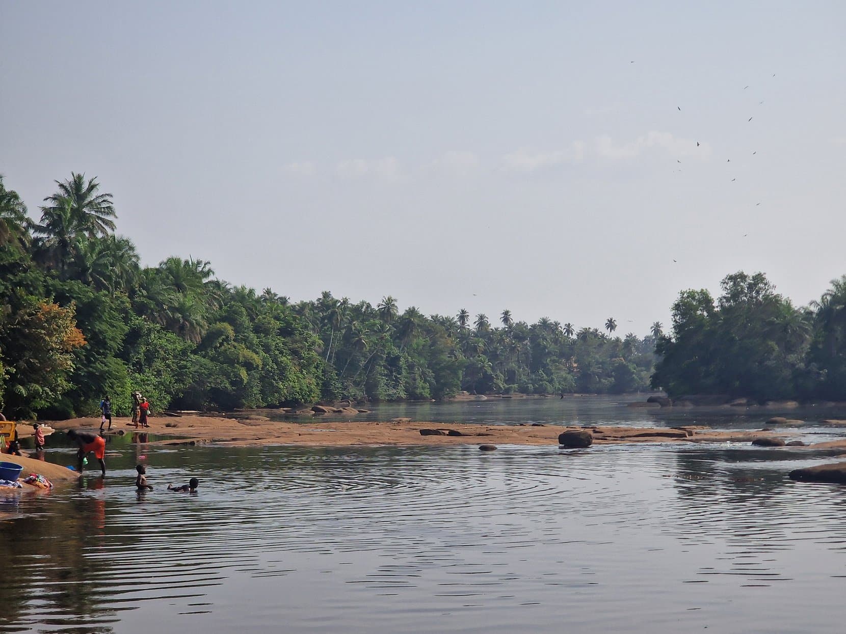 People bathing and washing clothes on rocks in a wide palm-lined river, Guinea