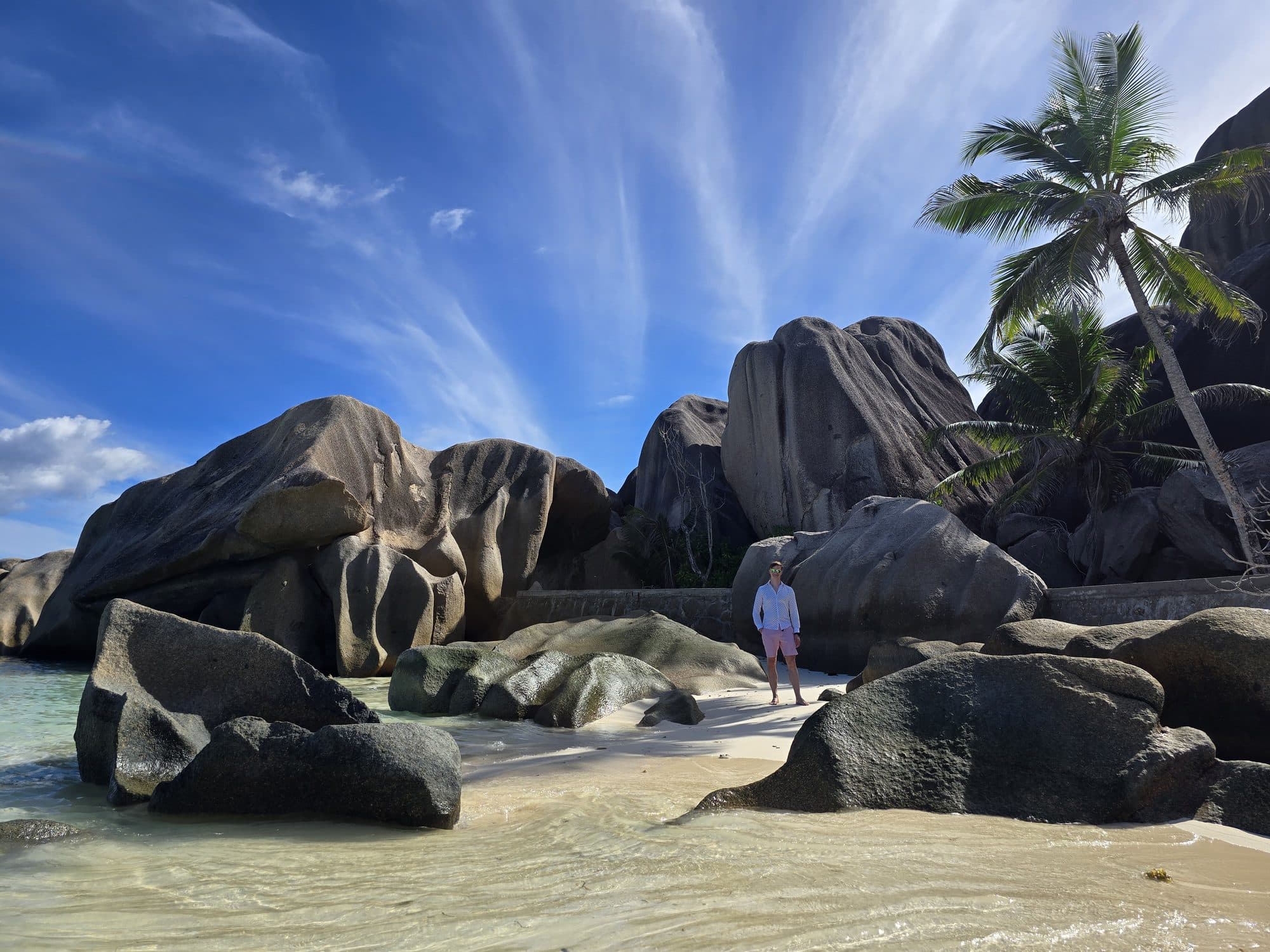 Granite boulders and a palm above the sand at Anse Source d'Argent, La Digue, Seychelles
