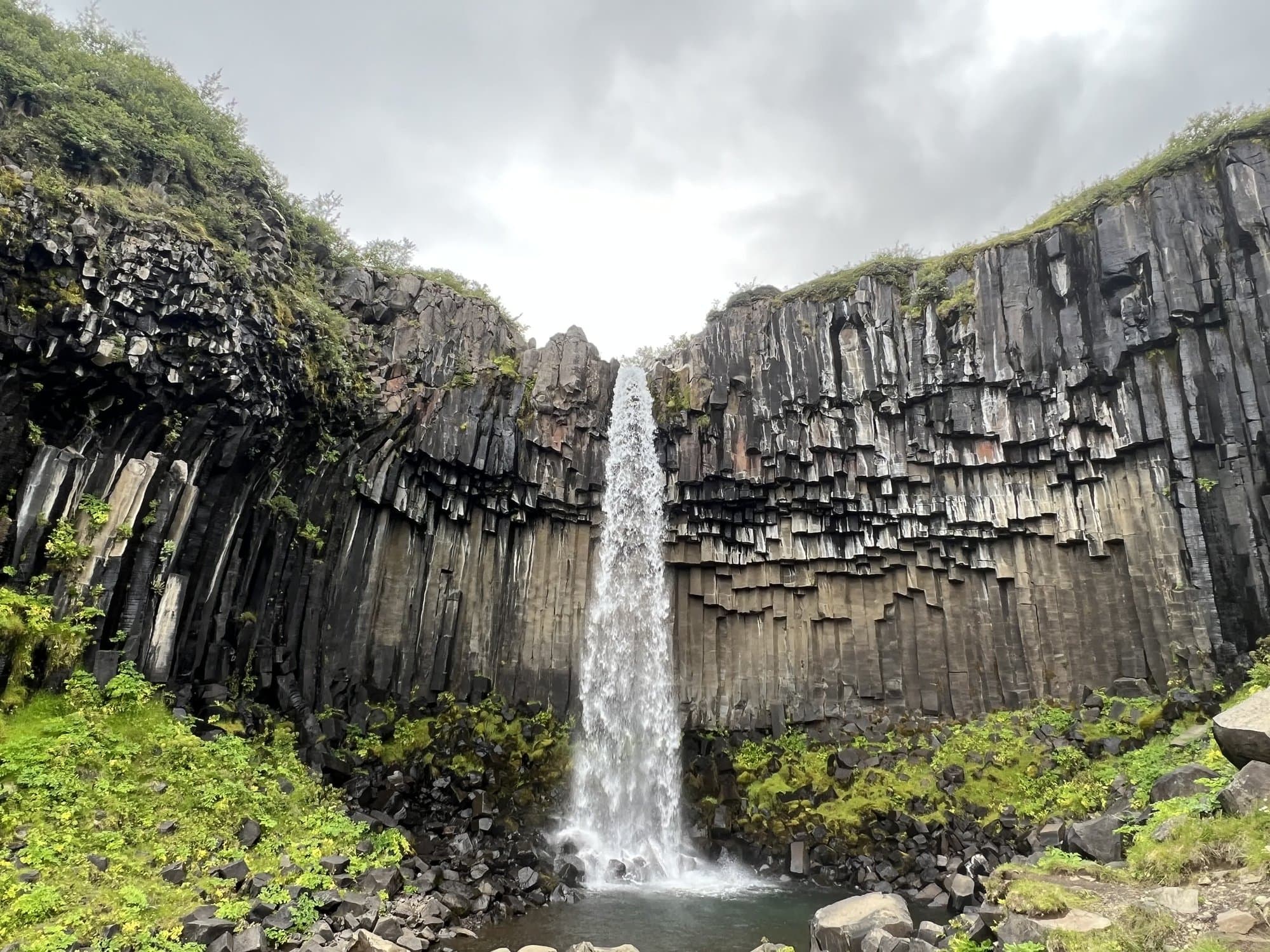 Svartifoss falling between dark basalt columns into a green gorge, Skaftafell