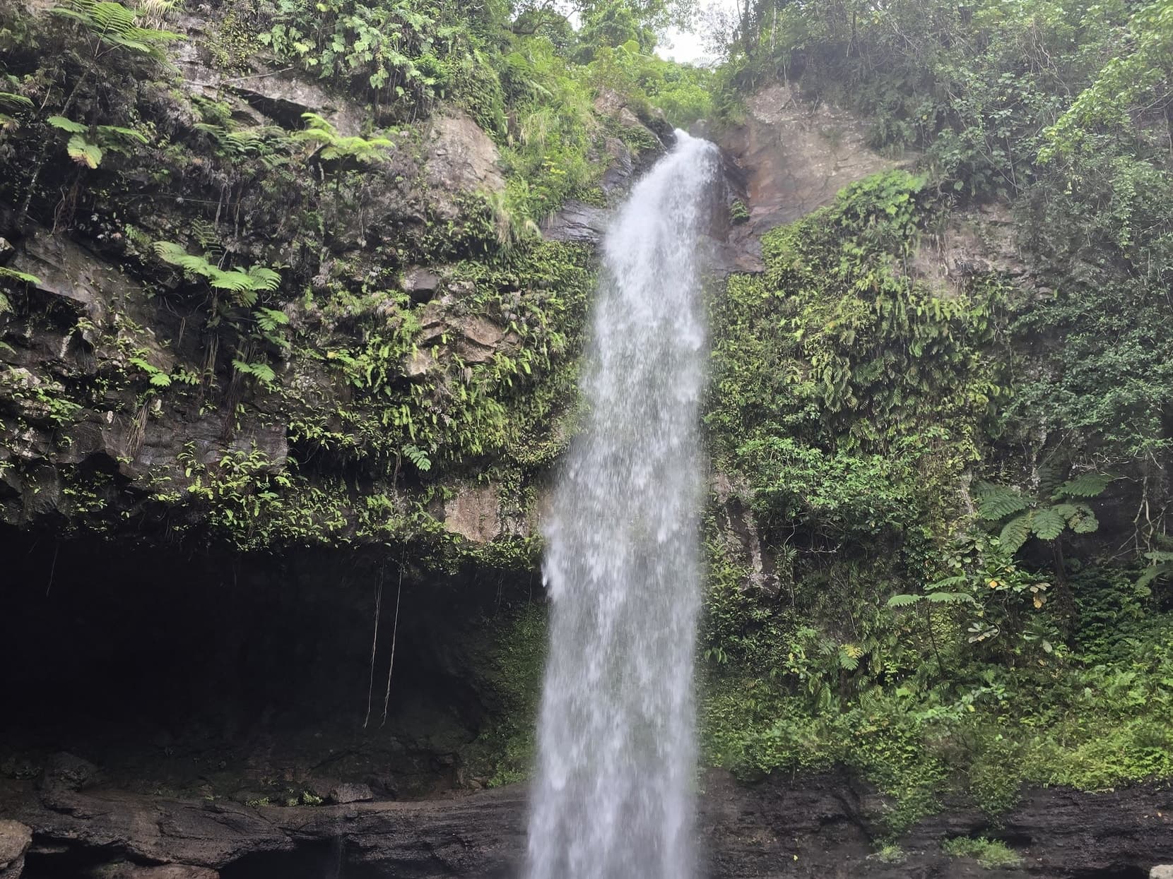 Tavoro waterfall dropping into its green pool in Taveuni's rainforest