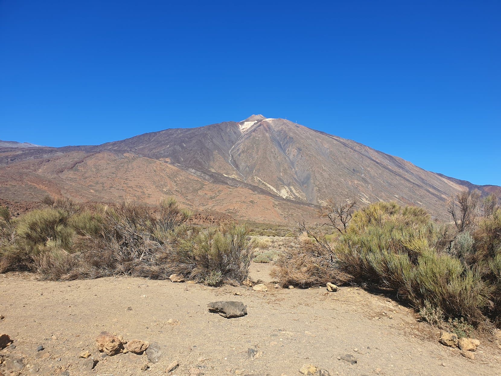 The bare cone of Mount Teide under a deep blue sky, seen across the caldera scrub, Tenerife
