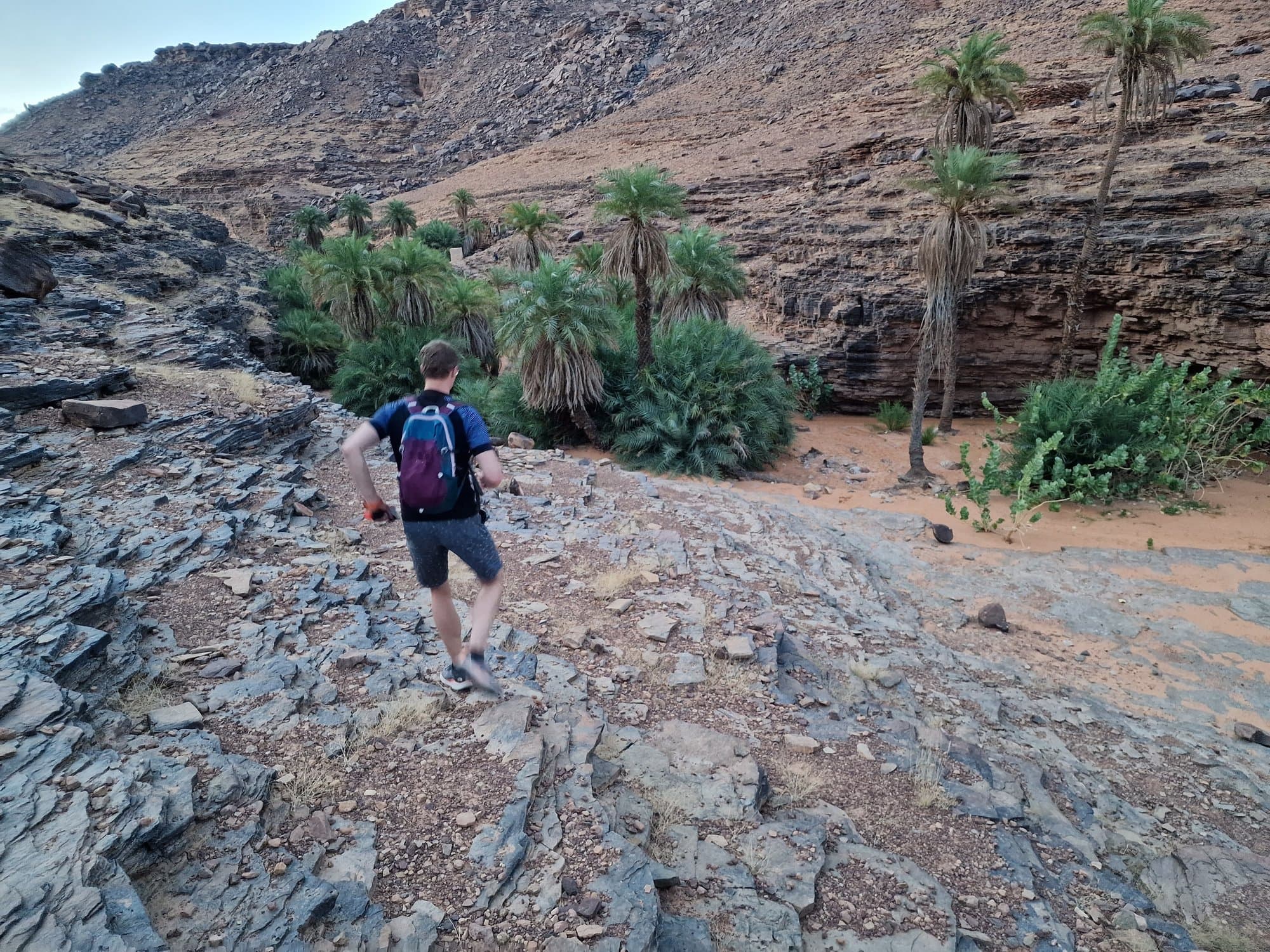 Walking down into the palm-filled canyon of Terjit oasis