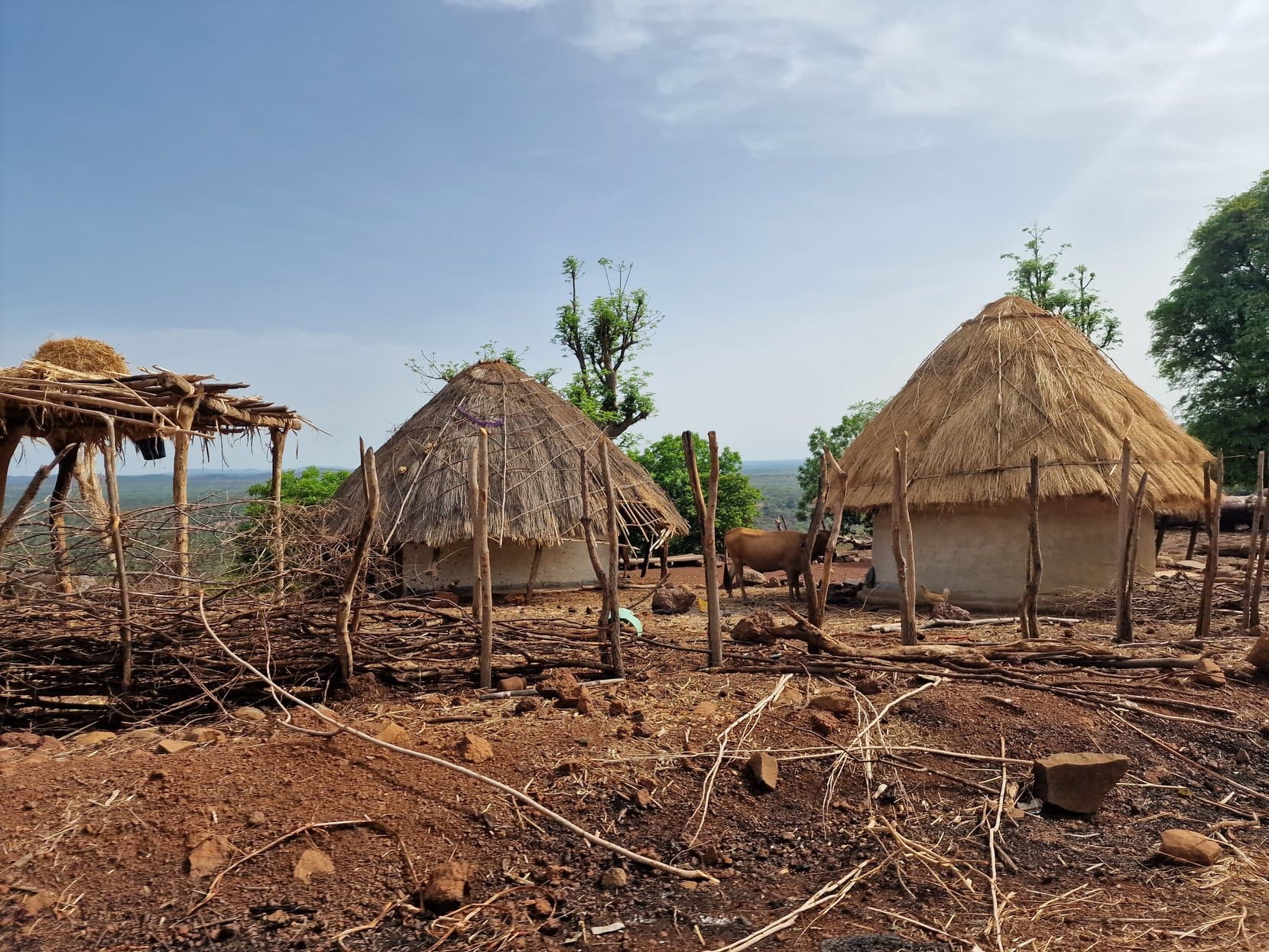 Thatched houses on a cleared ridge with hills beyond, Fouta Djallon foothills, Guinea